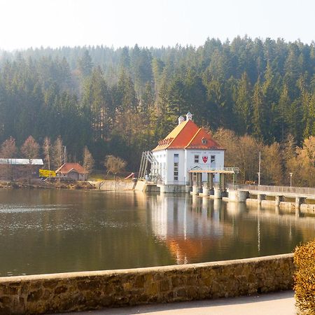 Ferienhaus Nr 6, Typ A, Feriendorf Jaegerpark, Bayerischer Wald Viechtach Luaran gambar